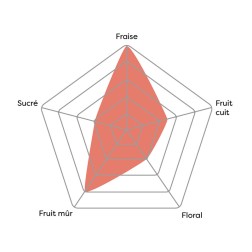 Liquide 10ml VDLV Vincent fraise web