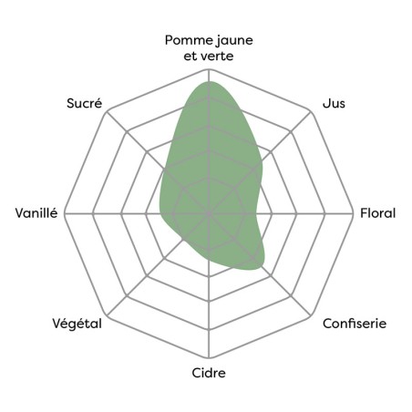 Vincent - Pomme naturelle