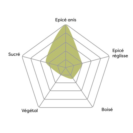 Vincent - Anis naturel