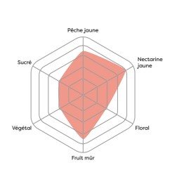Vincent - Pêche naturelle