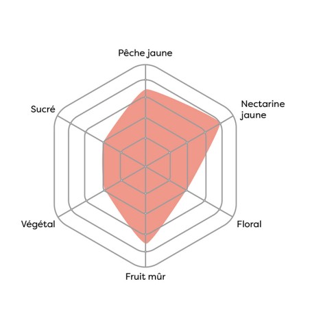 Vincent - Pêche naturelle