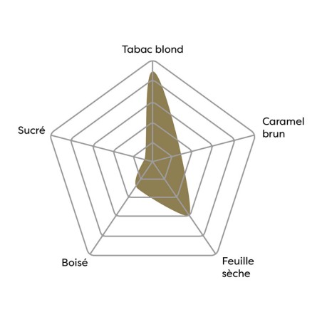 Vincent - Hampton (blond sec)