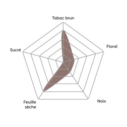 Vincent - Burley (notes de caramel)