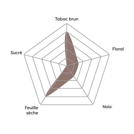 Vincent - Burley (notes de caramel)
