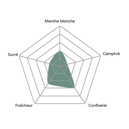Vincent - Menthe fraîche naturelle