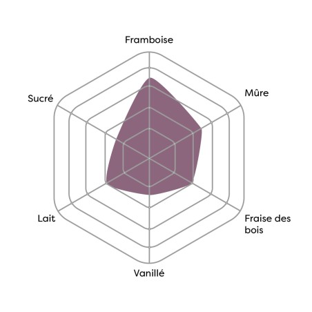 Vincent - Fruits des bois (convoitise)