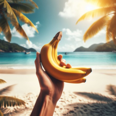Vincent - Banane naturelle